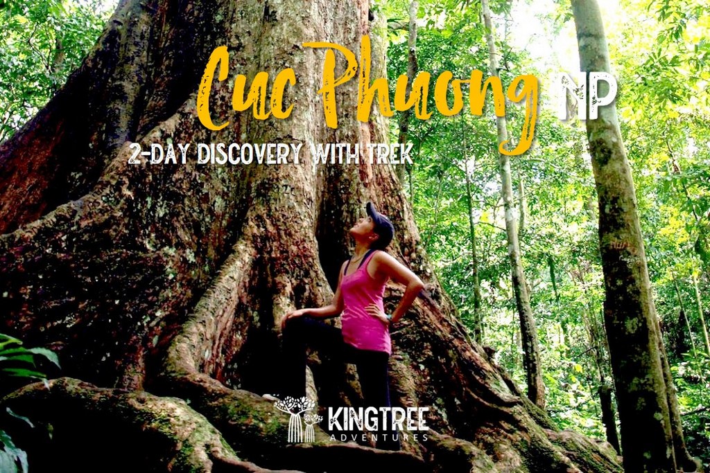 2-day Cuc Phuong NP Discovery